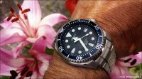 News ! Seiko Shogun SBDC007