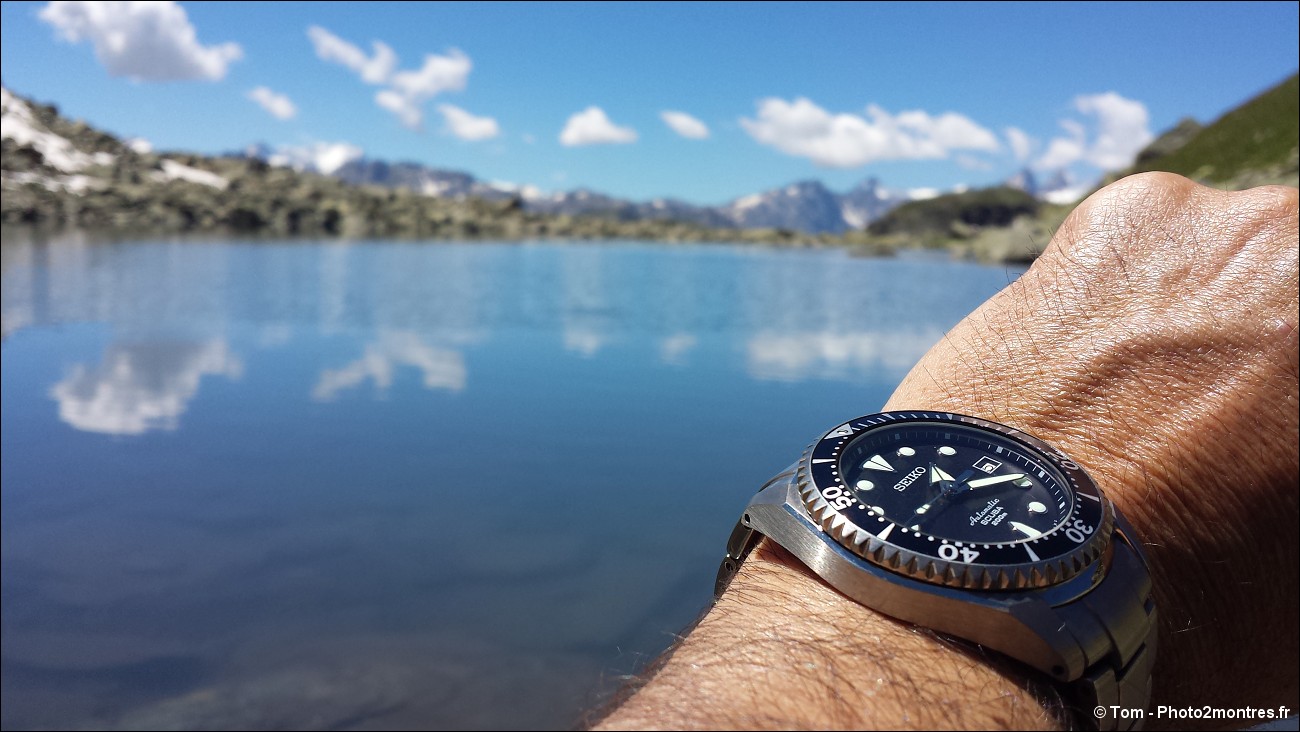 seiko sbdc007 shogun